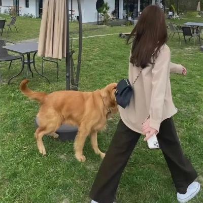 毁灭的种子