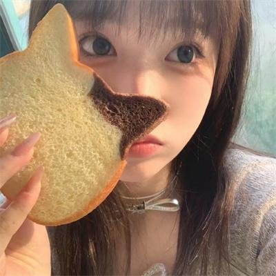 极地熊踪